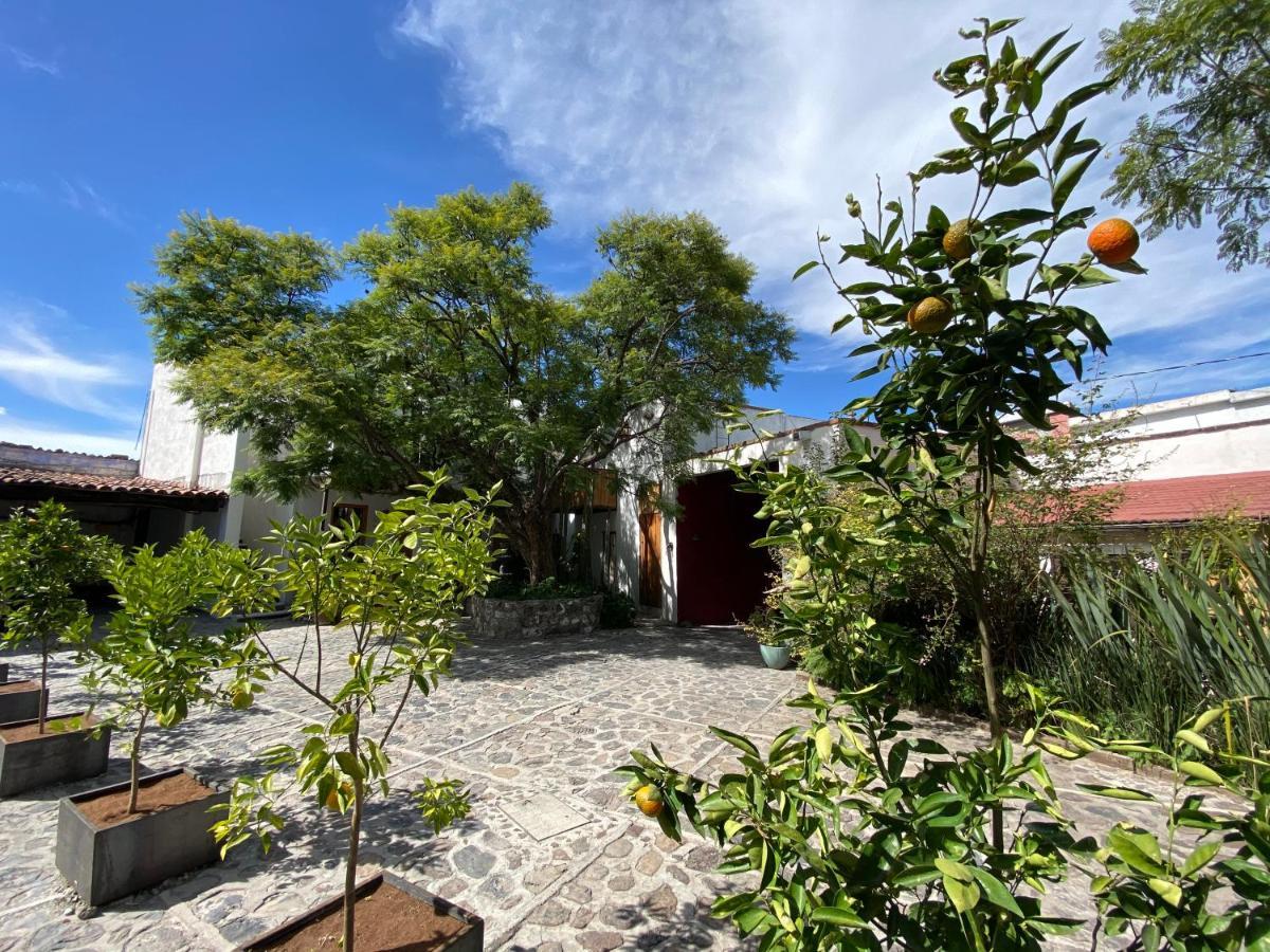 Posada Colibri - Hotel & Spa ซาน ฮวน ตีโอตีฮัวคัน ภายนอก รูปภาพ
